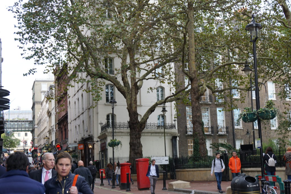 Gordon's Wine Bar, Villiers Street, London, England