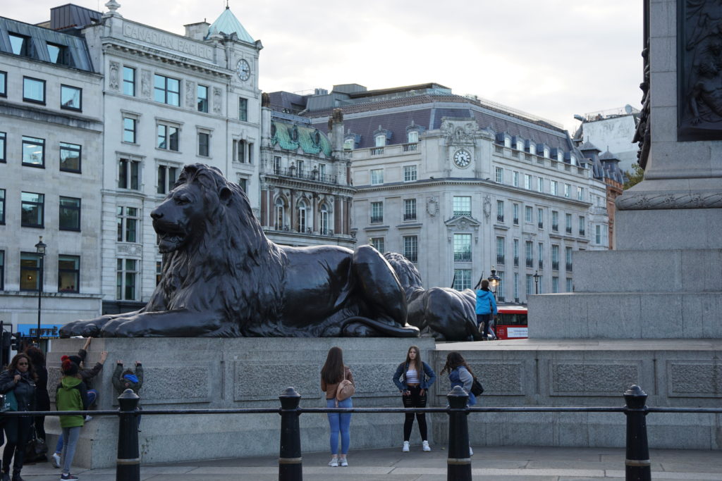 Lion at Nelson's Column, Trafalgar Square, London, England