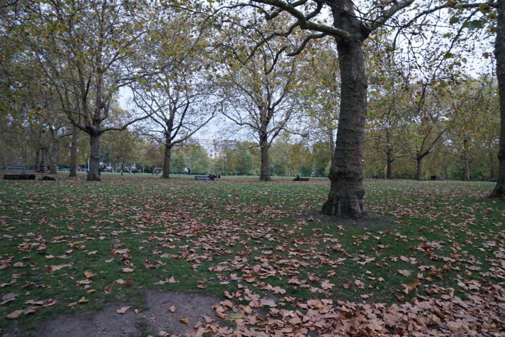 Green Park, London