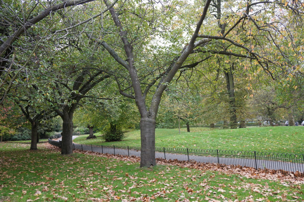 Kensington Gardens, London