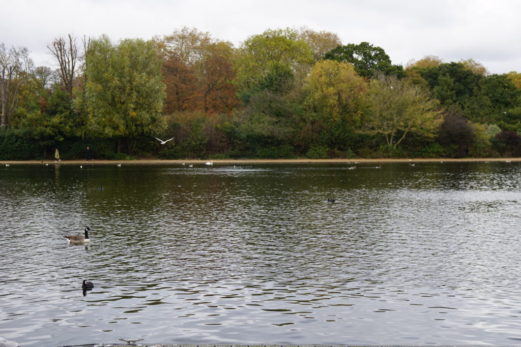 The Serpentine, Hyde Park, Kensington Gardens, London