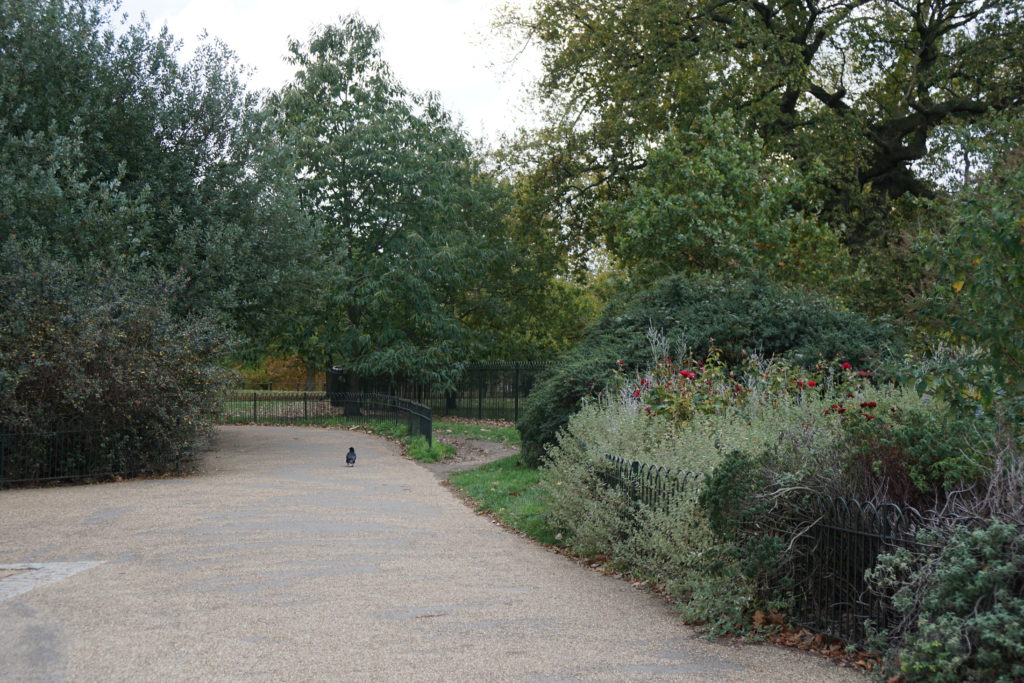 Hyde Park, Kensington Gardens, London