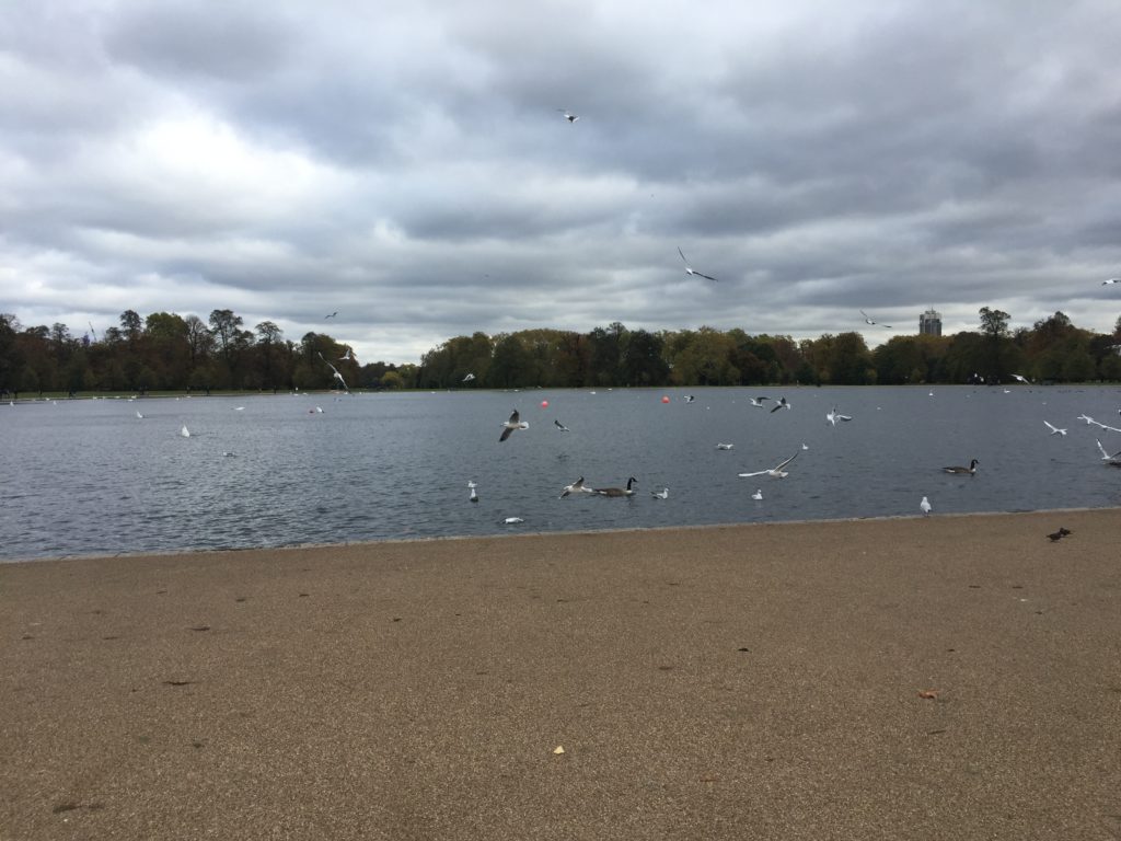 Kensington Gardens, Round Pond, London