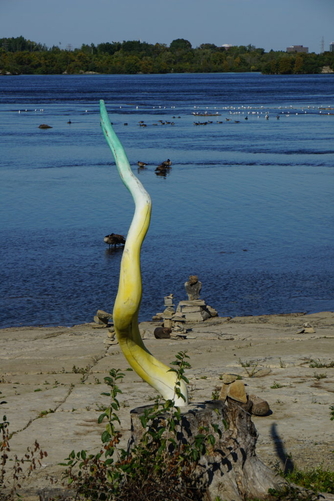 Pure Randomness, Horn, Ottawa River, Ottawa, Canada